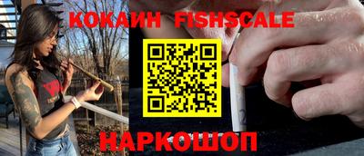 винт Партизанск