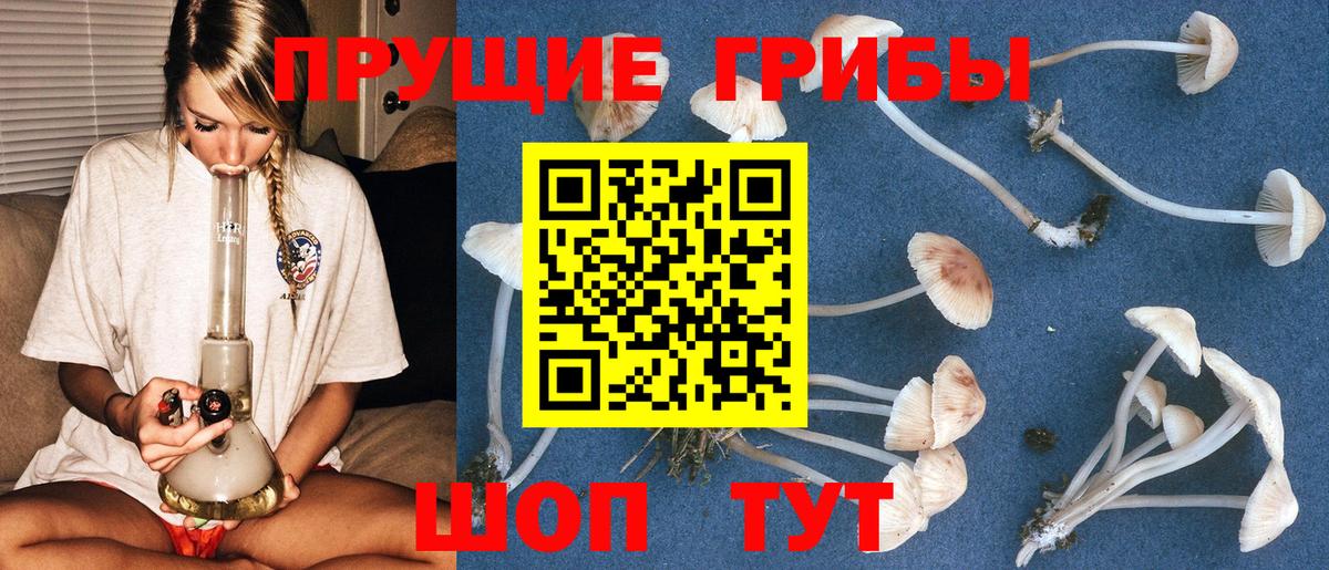 Псилоцибиновые грибы GOLDEN TEACHER Славгород